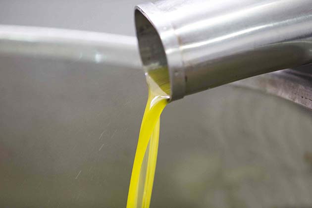 Angeli Olivenöl - Basilikata - Olivenöl Produktion